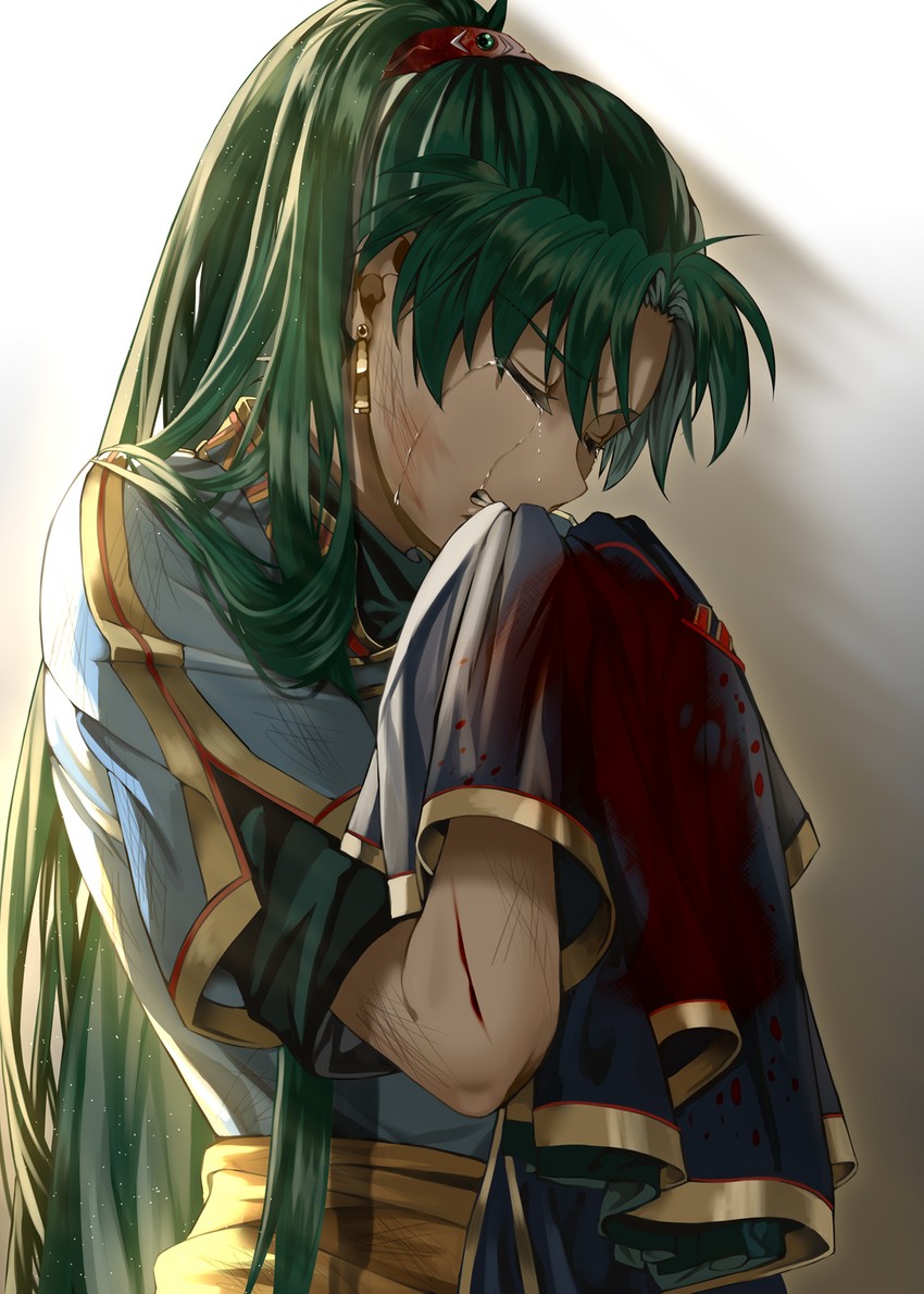 lyn (fire emblem and 1 more) drawn by delsaber