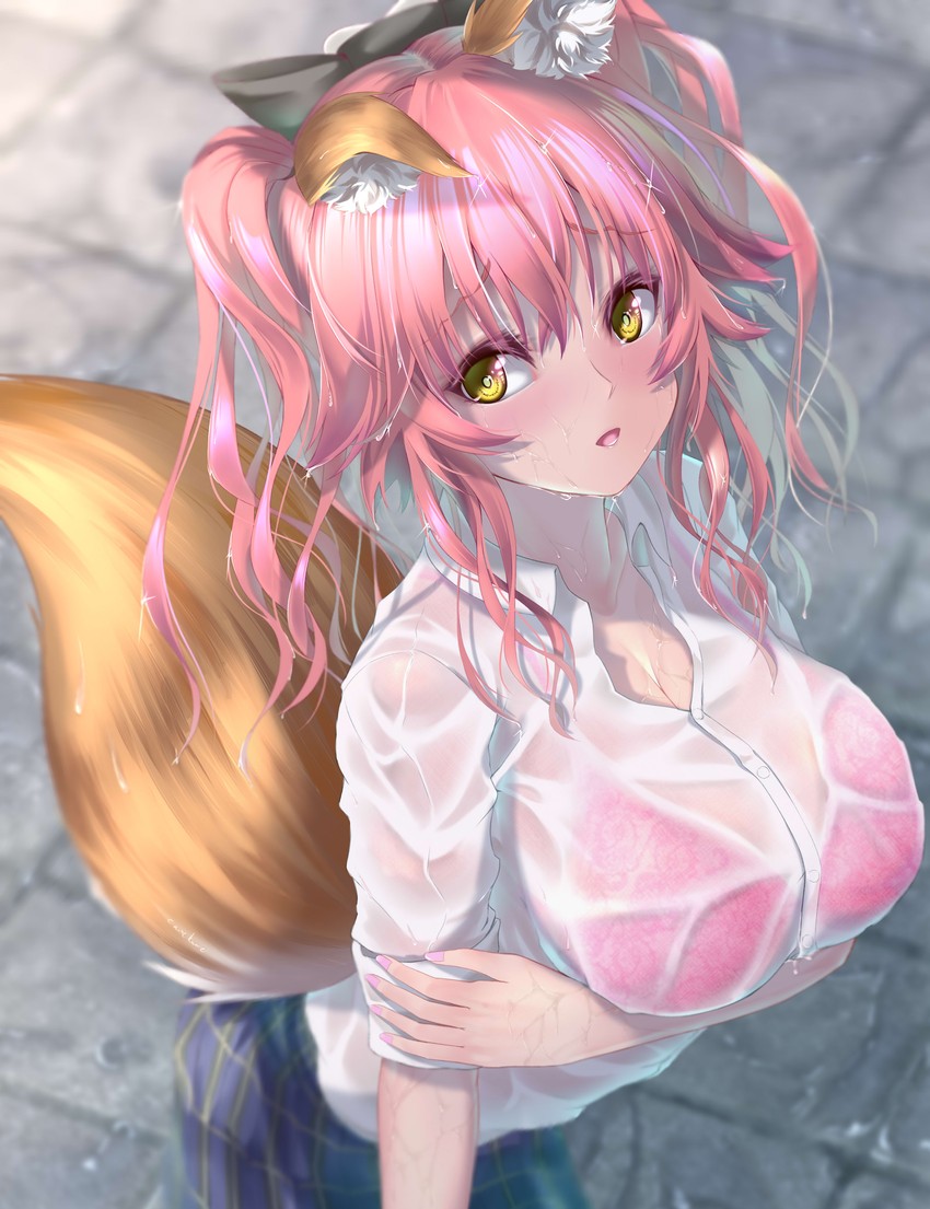 tamamo and tamamo no mae (fate and 2 more) drawn by kamehito
