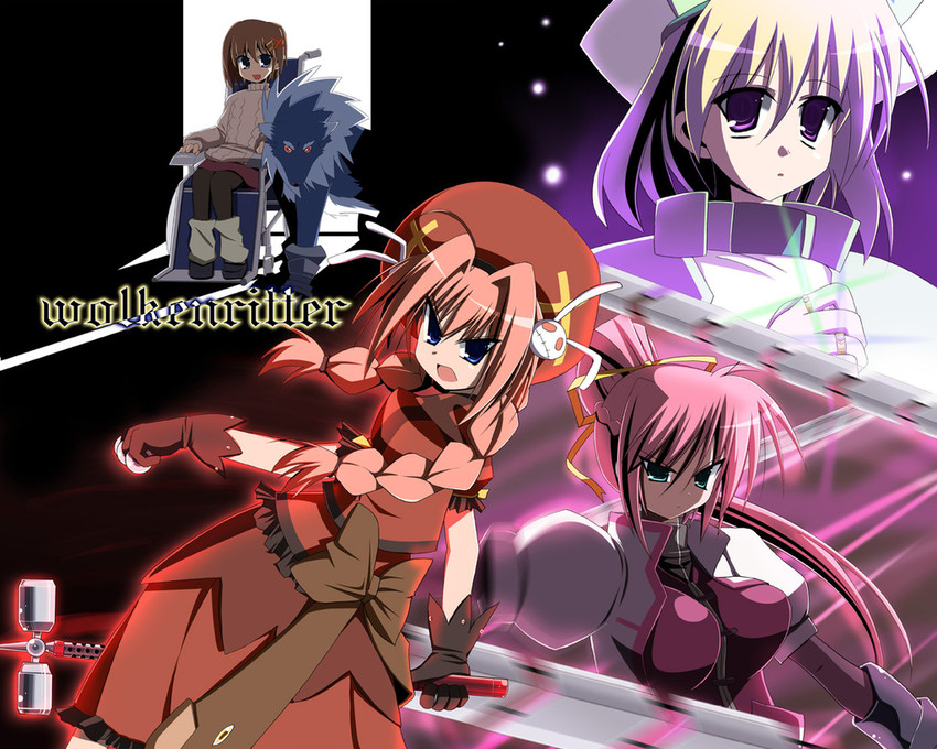 yagami hayate, vita, signum, shamal, graf eisen, and 2 more (lyrical nanoha and 3 more)