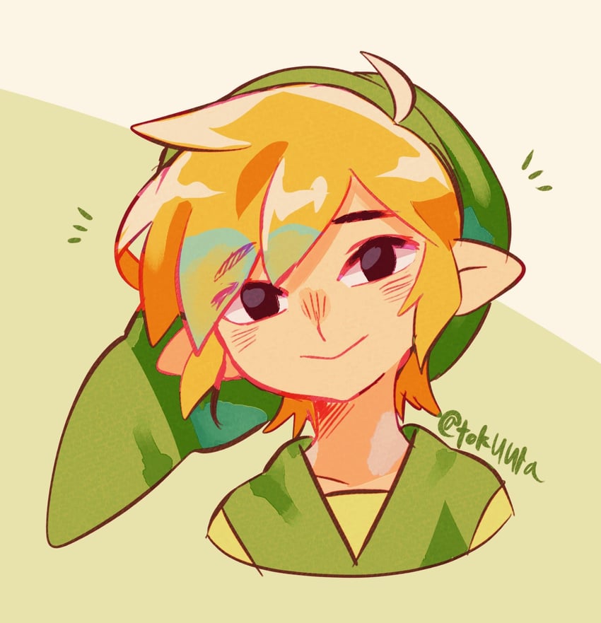 link and toon link (the legend of zelda and 1 more) drawn by tokuura