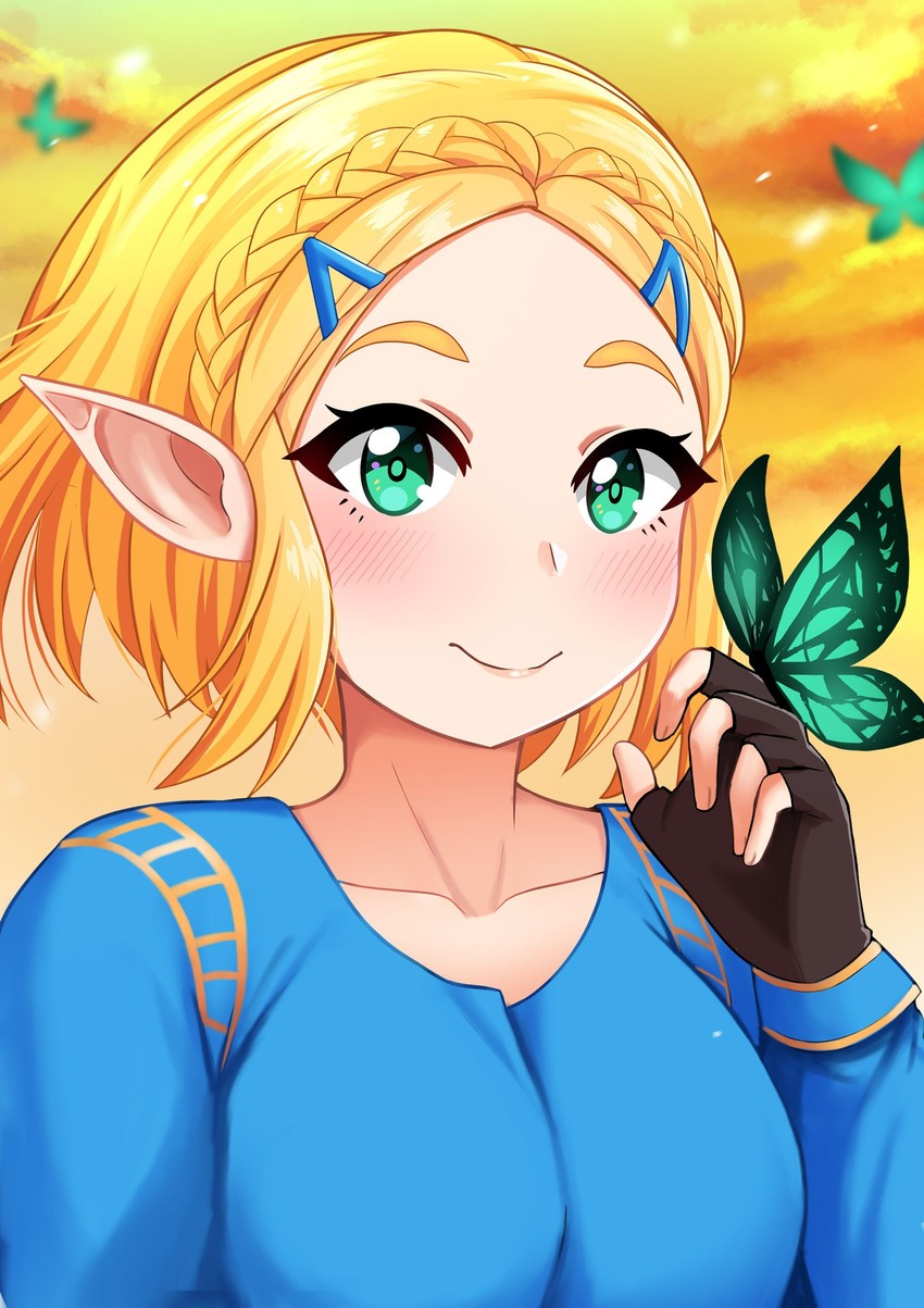 princess zelda (the legend of zelda and 1 more) drawn by the_only_shoe