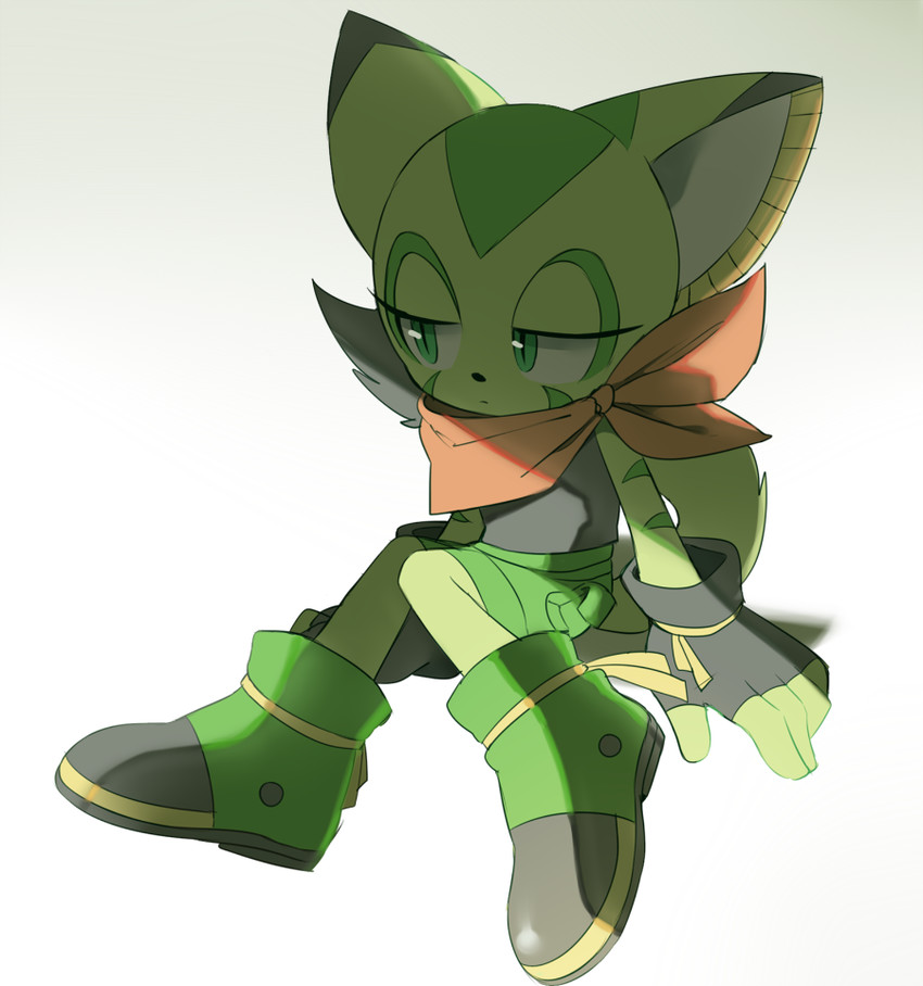 carol tea (freedom planet and 1 more) drawn by jeto_(jetopyon)