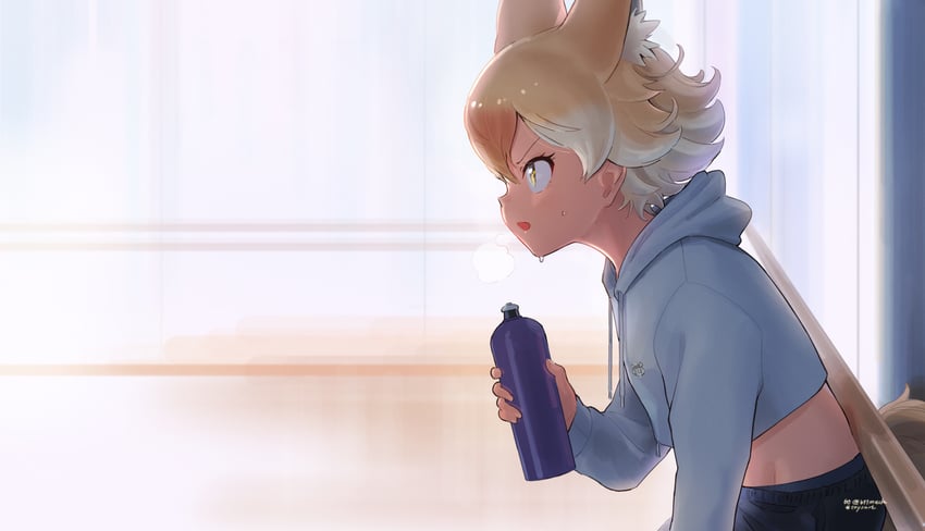 coyote (kemono friends and 1 more) drawn by beleven