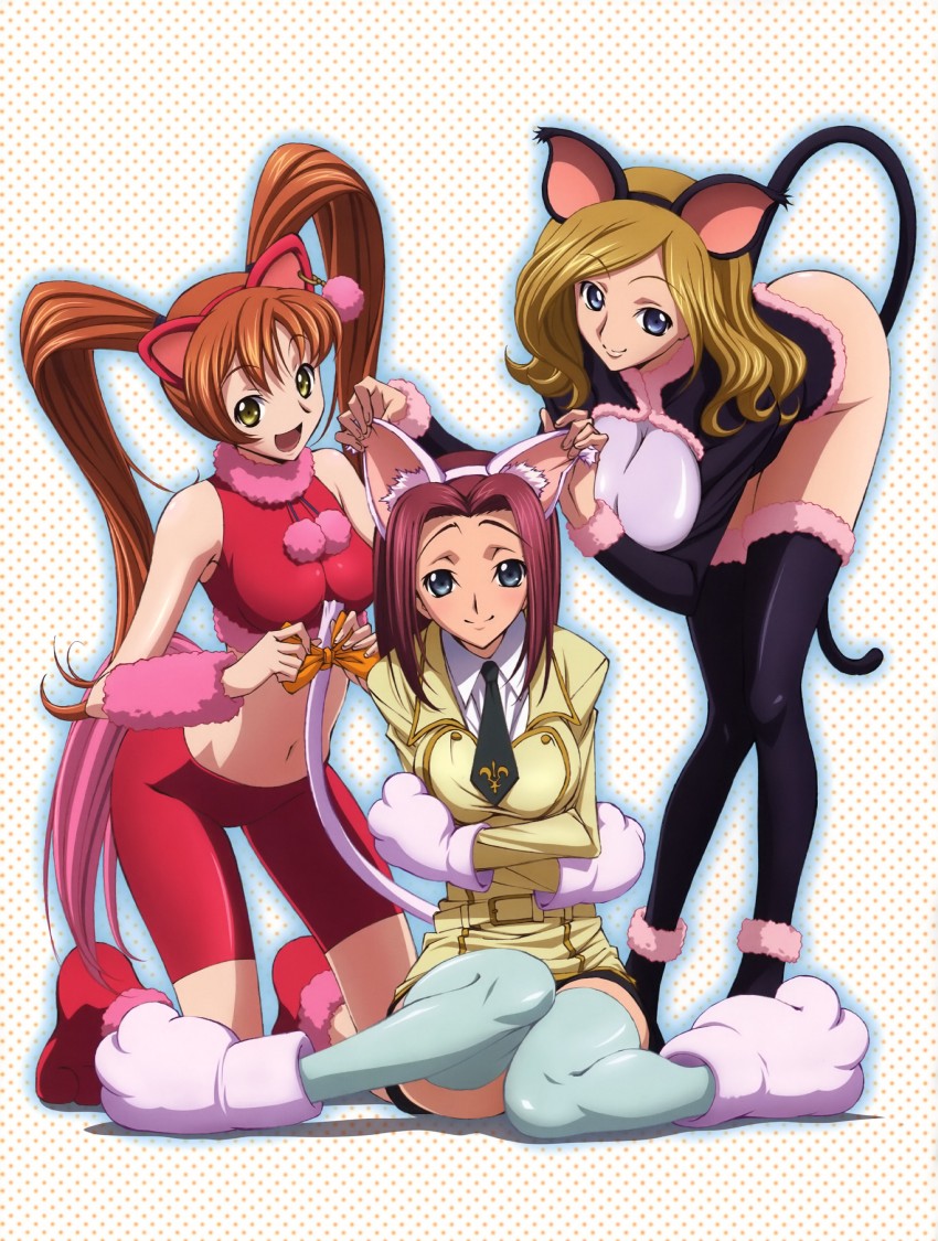 kouzuki kallen, shirley fenette, and milly ashford (code geass) drawn by tabata_hisayuki