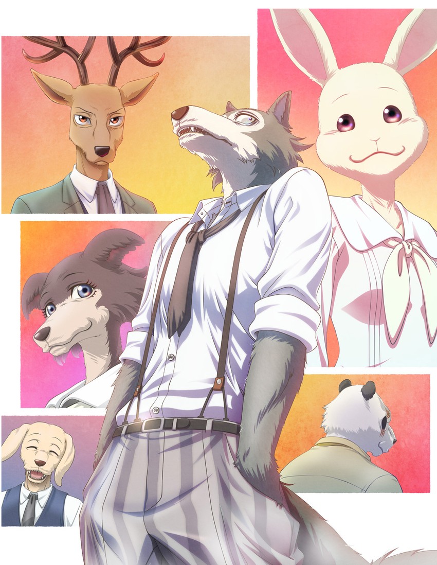 legoshi, haru, louis, gouhin, juno, and 1 more (beastars)
