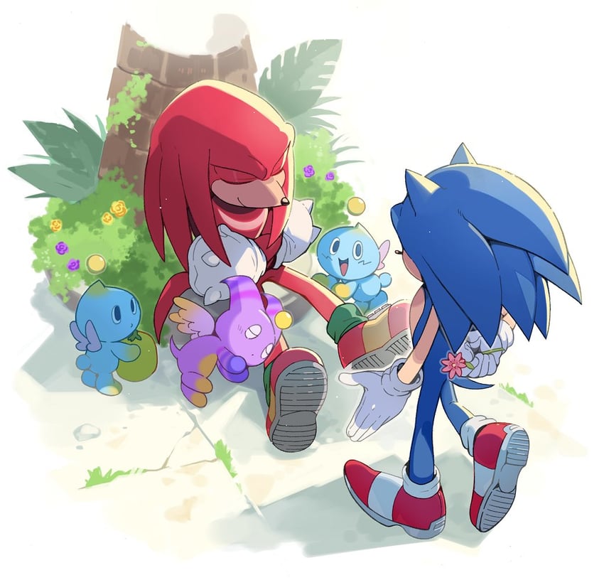 sonic the hedgehog, knuckles the echidna, neutral chao, and nights chao (sonic) drawn by sk_rokuro