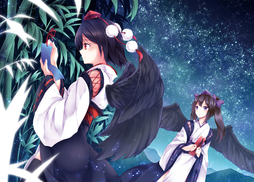 shameimaru aya and himekaidou hatate (touhou) drawn by midori_(misuriru8)