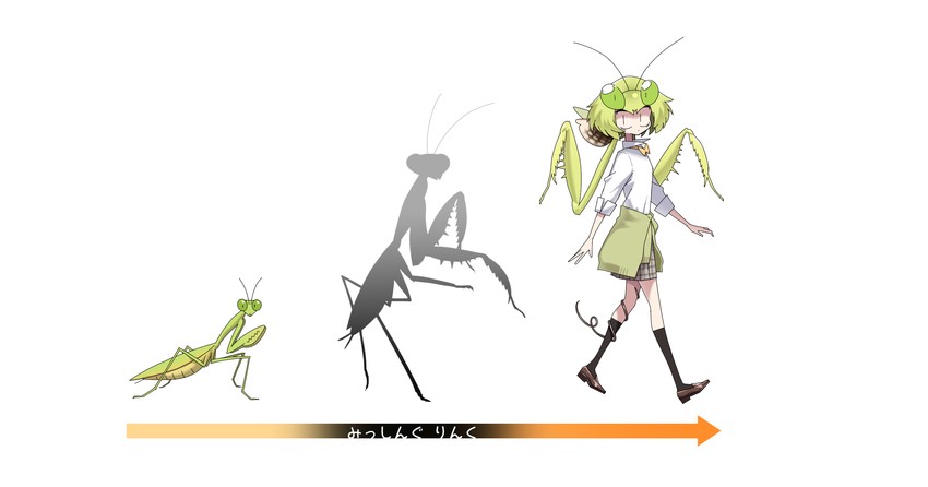 mantis akiyama (original and 1 more) drawn by evolvingmonkey