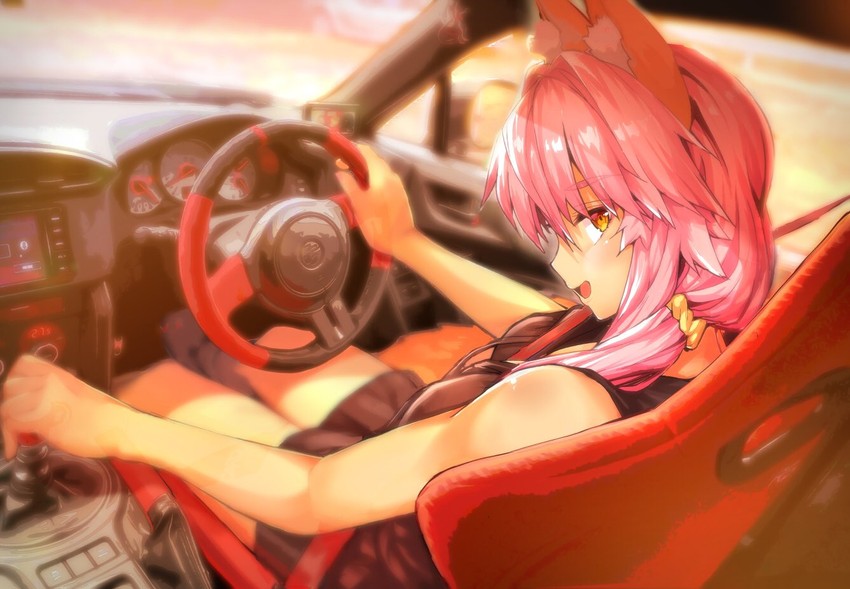 tamamo and tamamo no mae (fate and 3 more) drawn by wisespeak