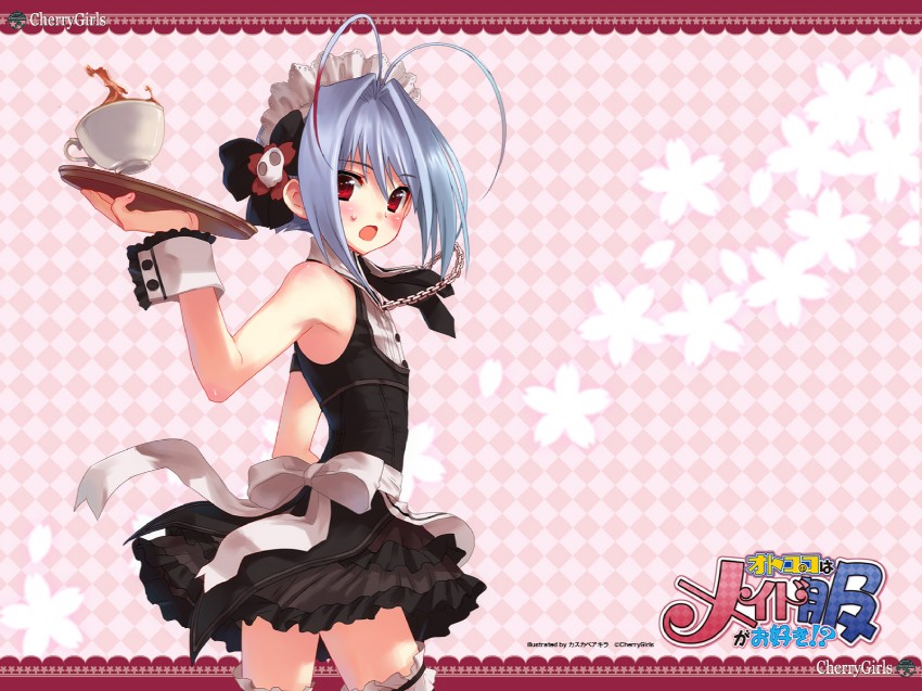 yuki (otoko no ko wa meido fuku ga osuki!?) drawn by kasukabe_akira