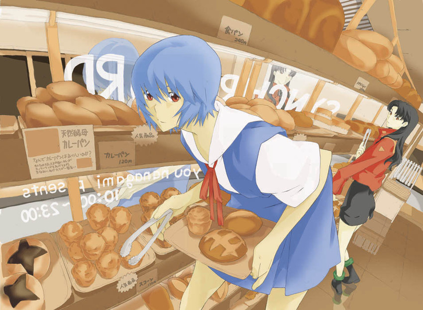 ayanami rei and katsuragi misato (neon genesis evangelion) drawn by nanagami_you