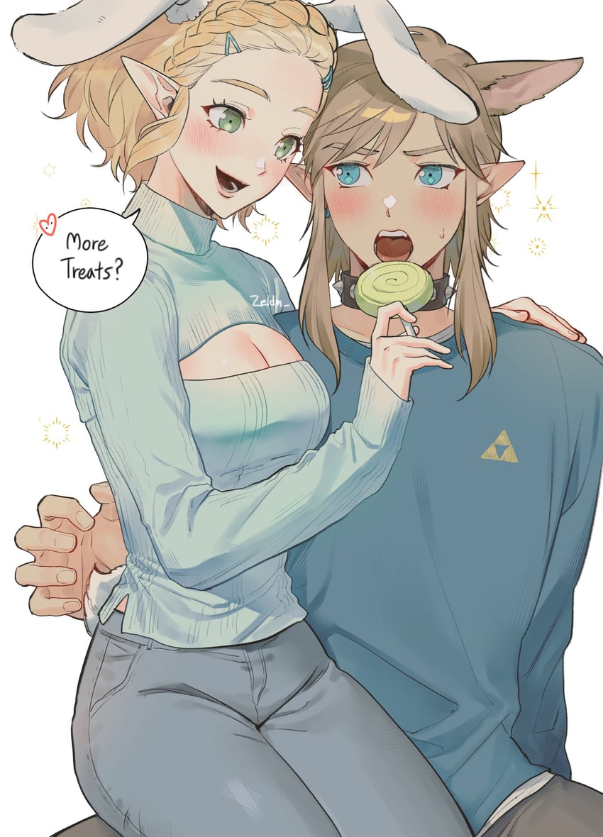 link and princess zelda (the legend of zelda and 1 more) drawn by zeldm