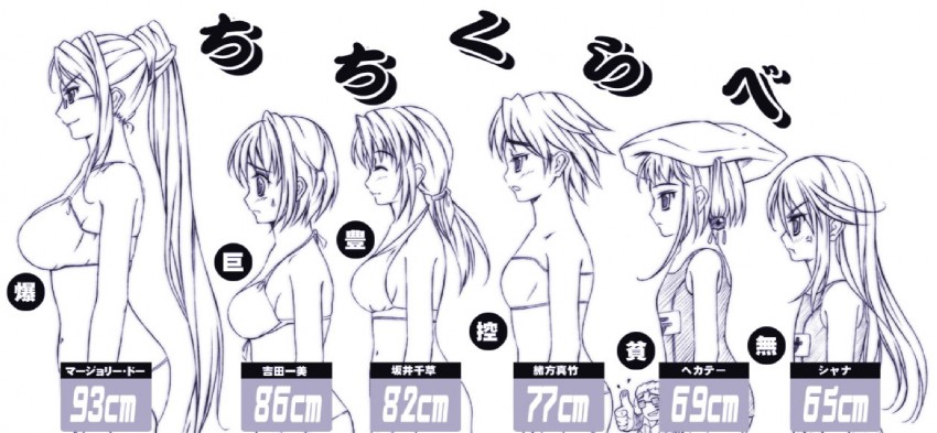 Anime boob size chart