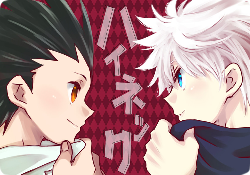 killua zoldyck and gon freecss (hunter x hunter) drawn by hii_(hii101)