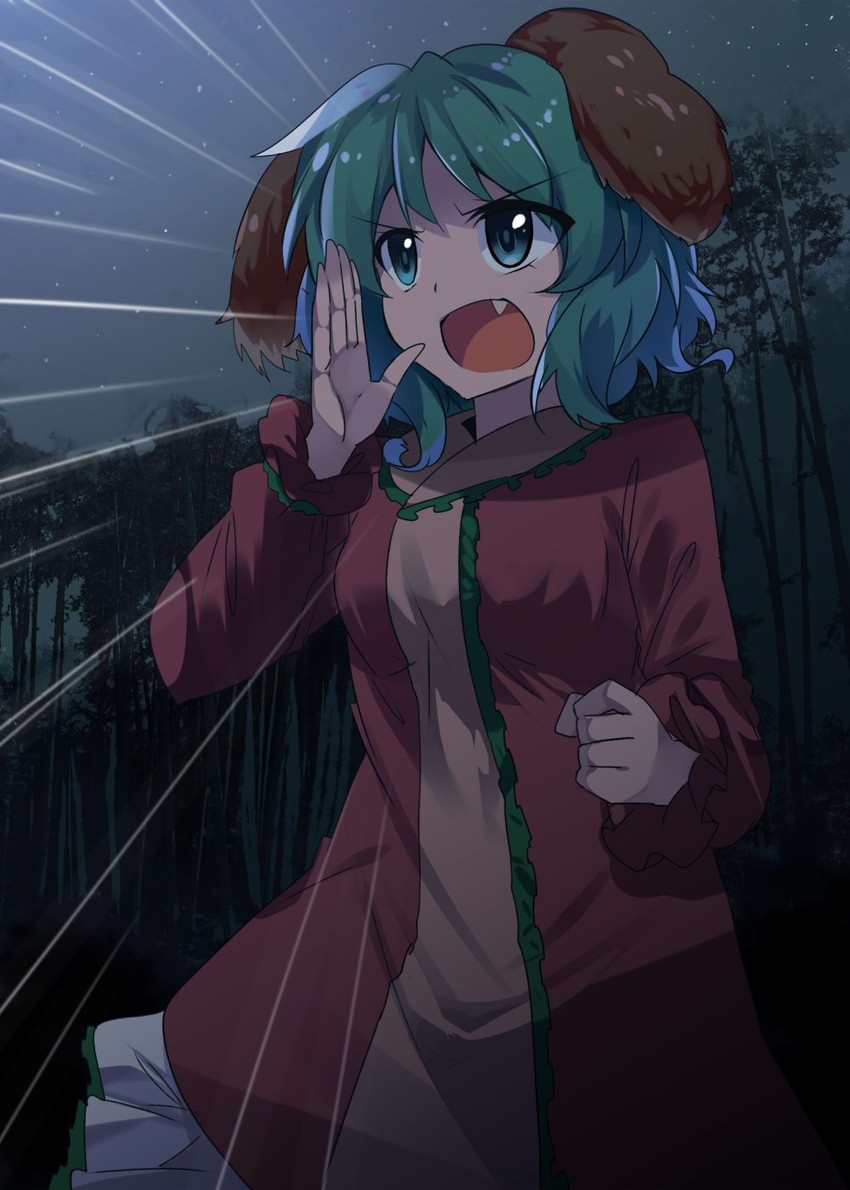 kasodani kyouko (touhou) drawn by e.o.