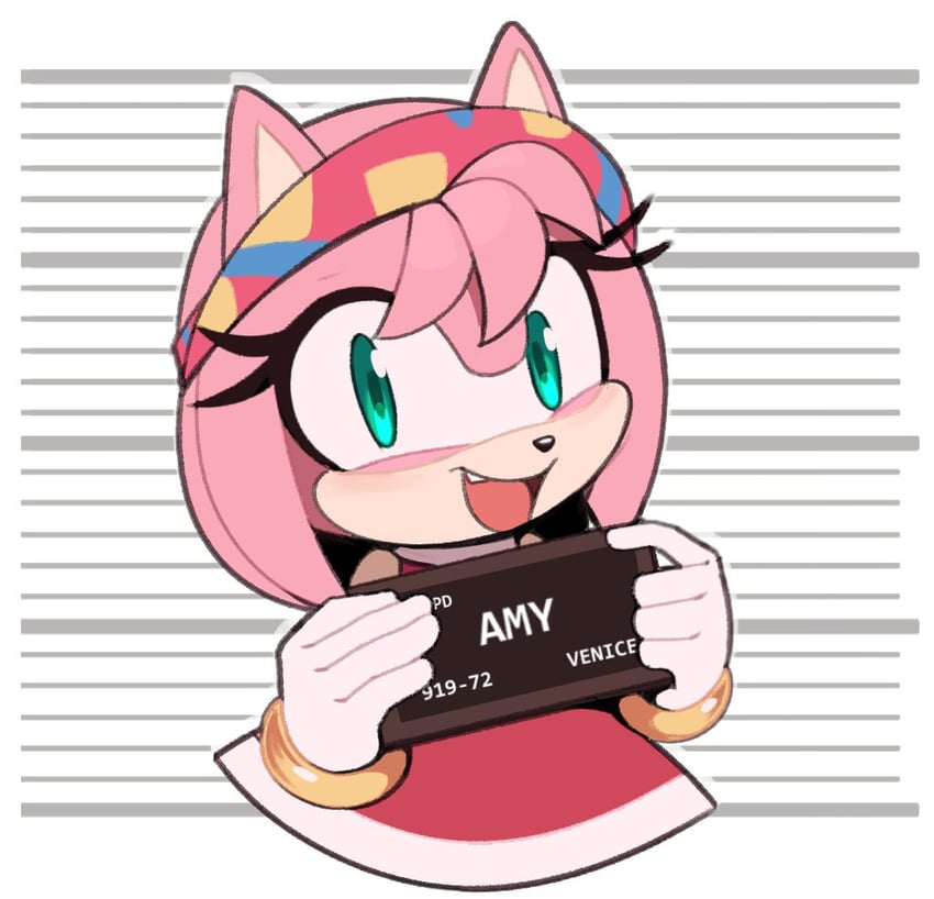 amy rose (sonic and 2 more) drawn by toonsite