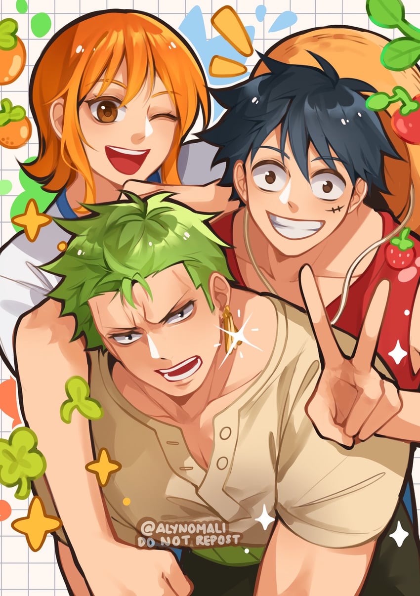 nami, monkey d. luffy, and roronoa zoro (one piece) drawn by alynomali