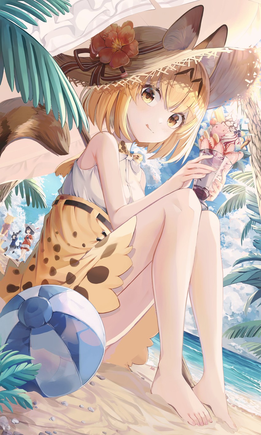 serval, kaban, common raccoon, and fennec (kemono friends) drawn by animal_ears_(norankkori)