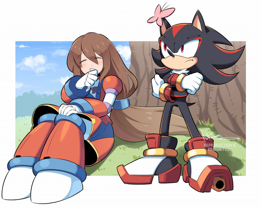 shadow the hedgehog and iris (mega man and 3 more) drawn by mcnr