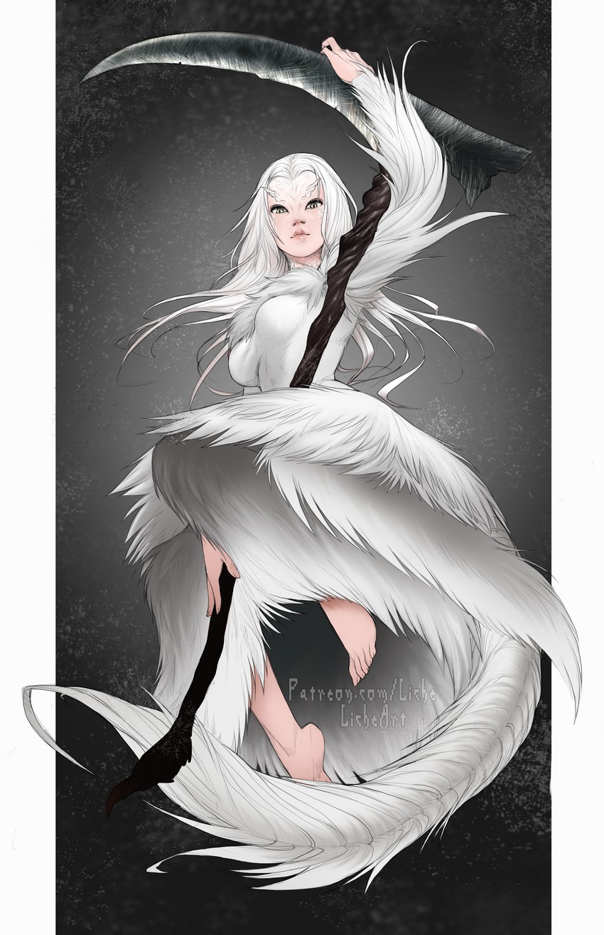priscilla the crossbreed (dark souls and 1 more) drawn by liche_(wiggly_liche)