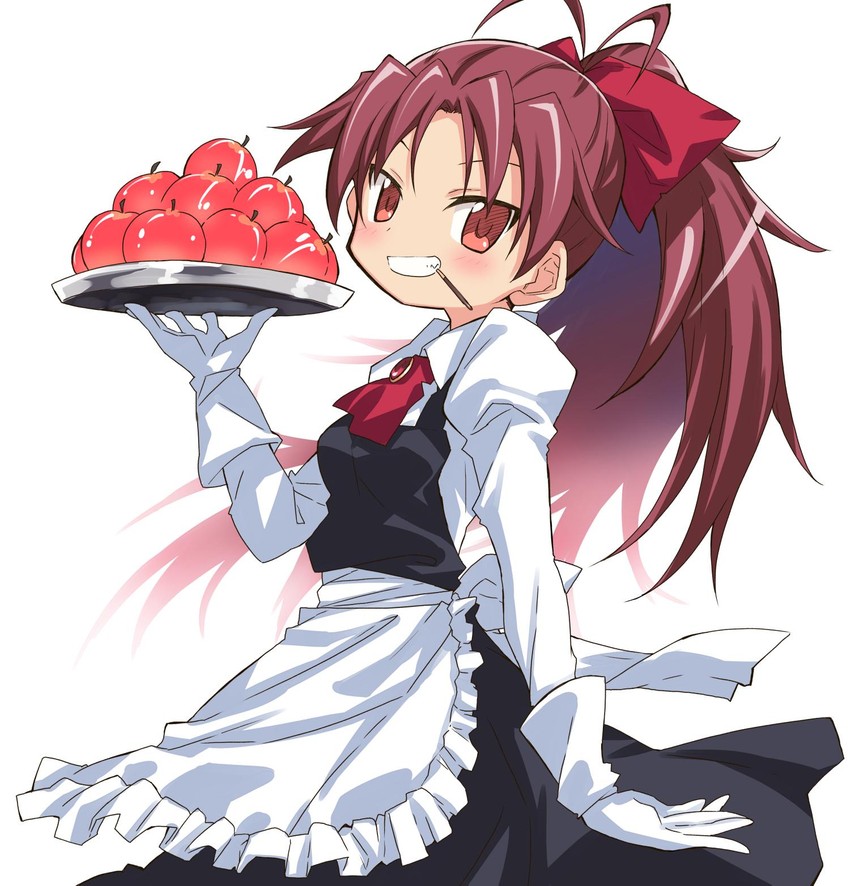 sakura kyoko (mahou shoujo madoka magica) drawn by take_shinobu