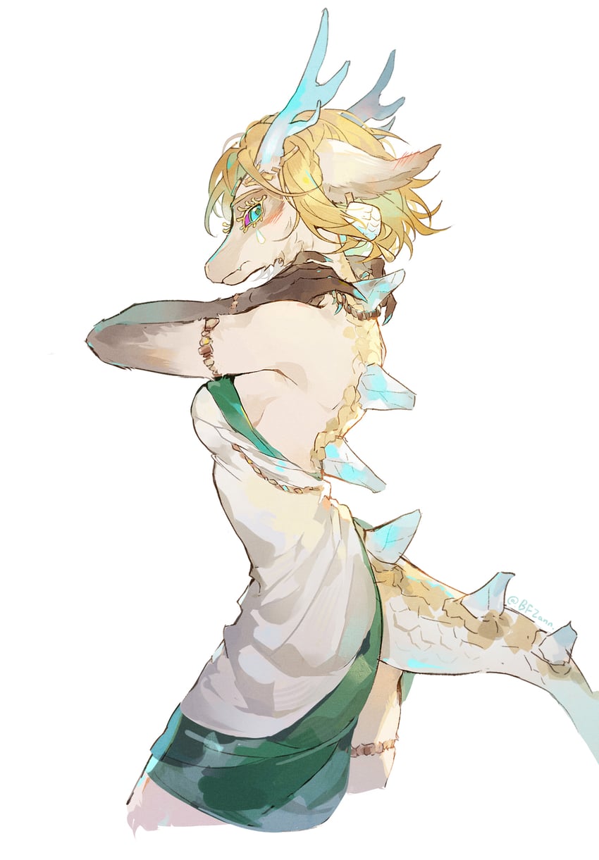 princess zelda and light dragon (the legend of zelda and 1 more) drawn by an_(bfzann)
