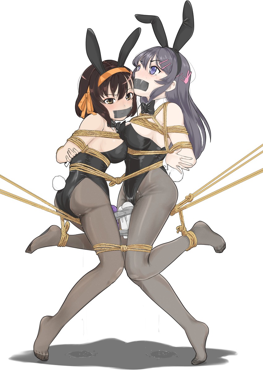 suzumiya haruhi and sakurajima mai (suzumiya haruhi no yuuutsu and 1 more) drawn by ivanfx