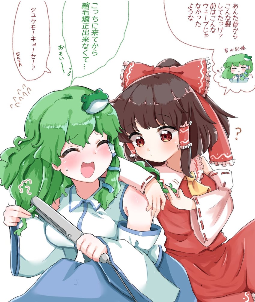 hakurei reimu and kochiya sanae (touhou) drawn by tanikake_yoku