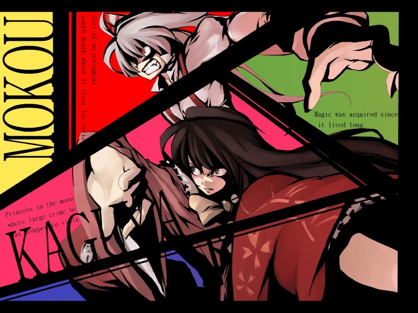 fujiwara no mokou and houraisan kaguya (touhou) drawn by morino_hon