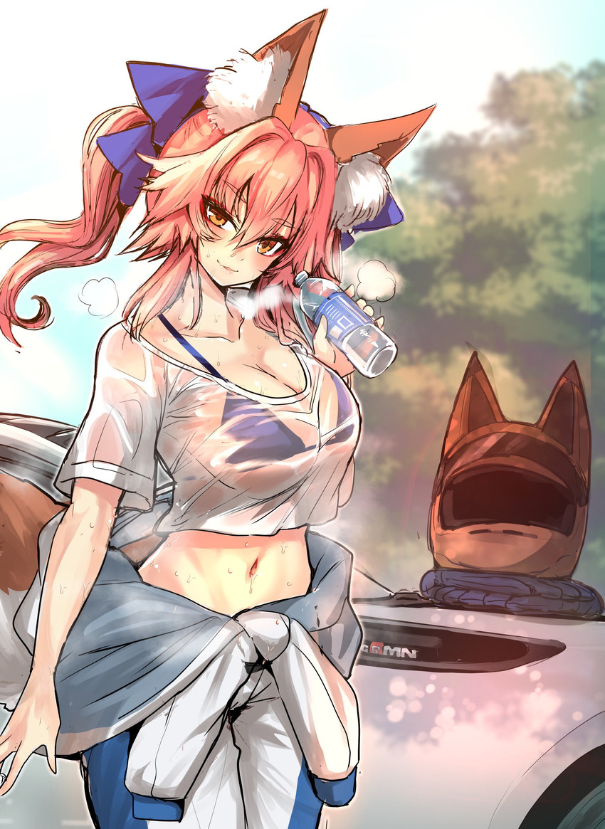 tamamo and tamamo no mae (fate and 1 more) drawn by wisespeak