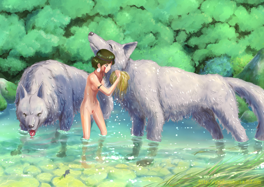 san and moro no ichizoku (studio ghibli and 1 more) drawn by studio_zuburi