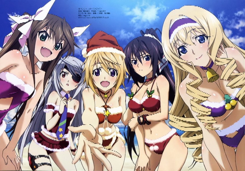 charlotte dunois, cecilia alcott, laura bodewig, shinonono houki, and huang lingyin (infinite stratos) drawn by hashimoto_takayoshi