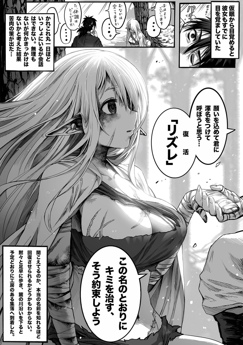 reszurre and kusuriuri-san (boroboro no elf-san wo shiawase ni suru kusuri uri-san) drawn by gibagiba