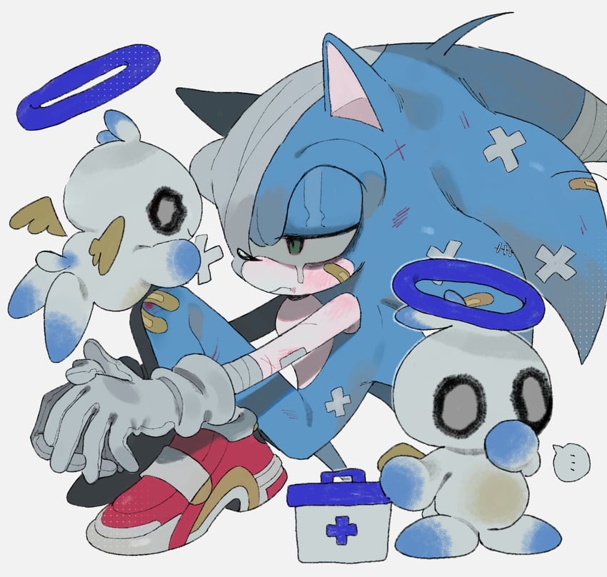 sonic the hedgehog and hero chao (sonic) drawn by xxxxx0099e