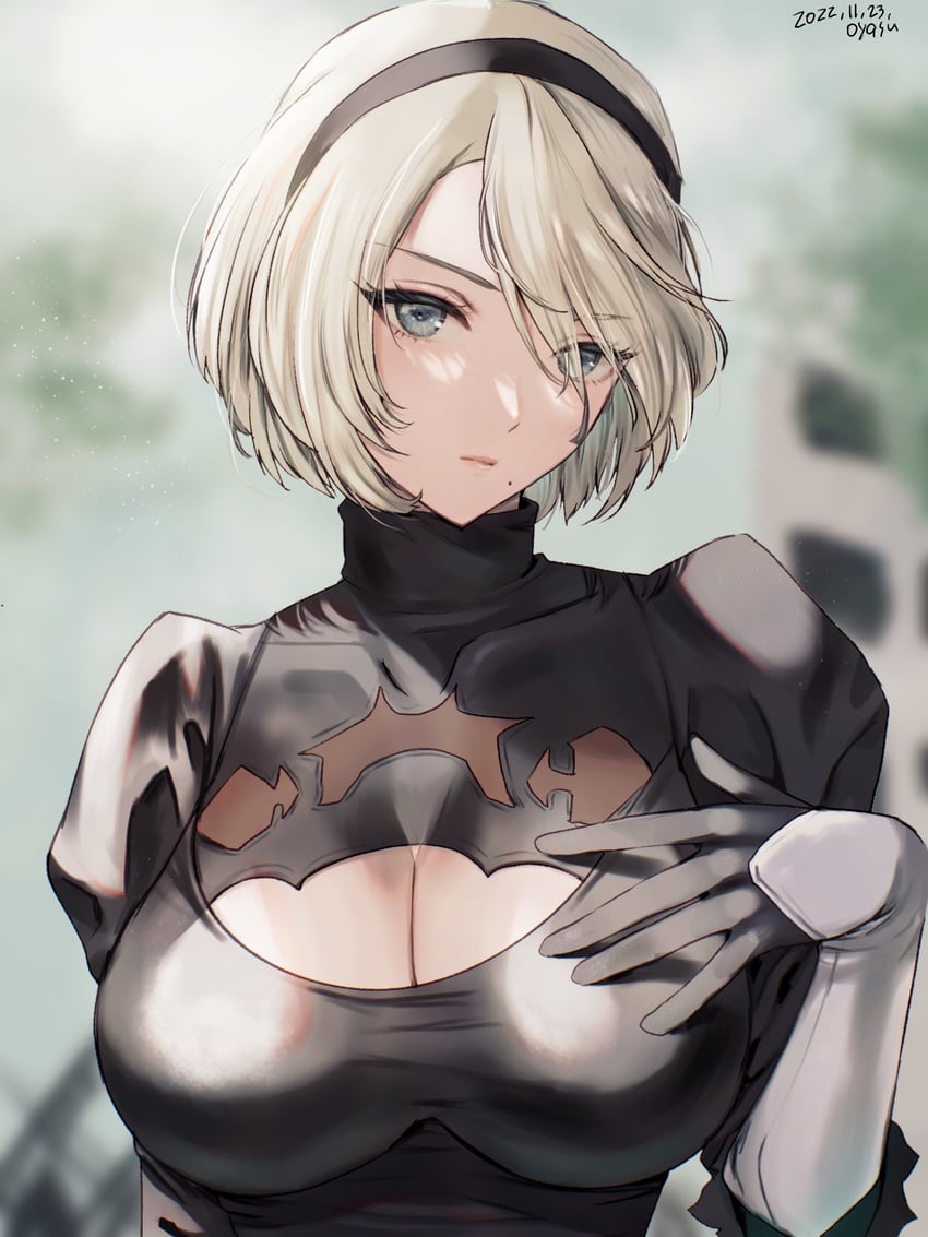 2b (nier and 1 more) drawn by yamamori_kinako