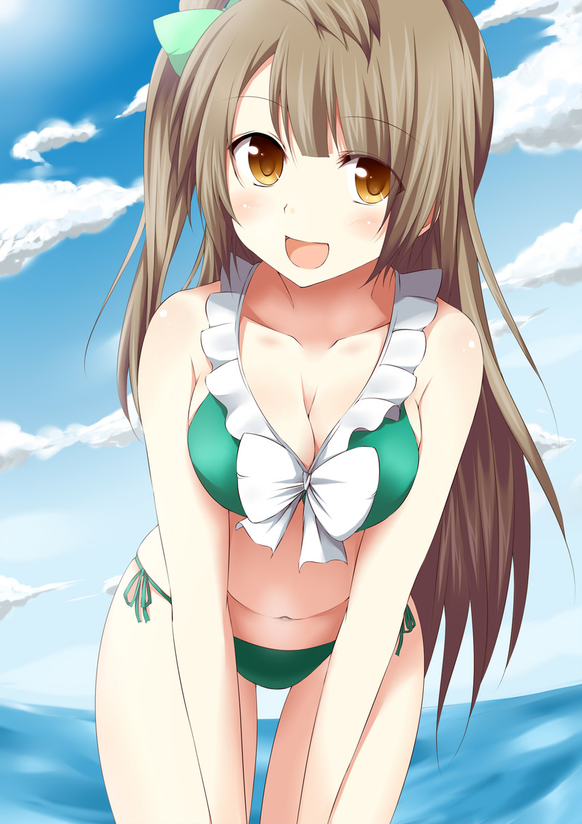 minami kotori (love live! and 1 more) drawn by fujisaki_kyouya