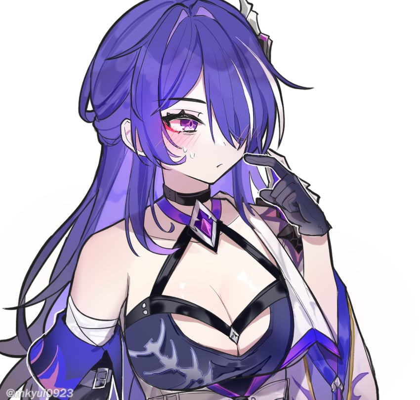 acheron (honkai and 1 more) drawn by shitsu_(kurikaesi)