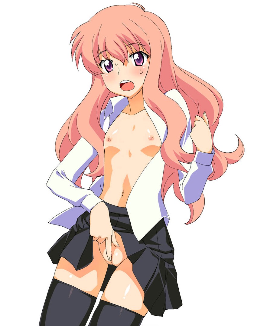louise francoise le blanc de la valliere (zero no tsukaima) drawn by a1_(initial-g)