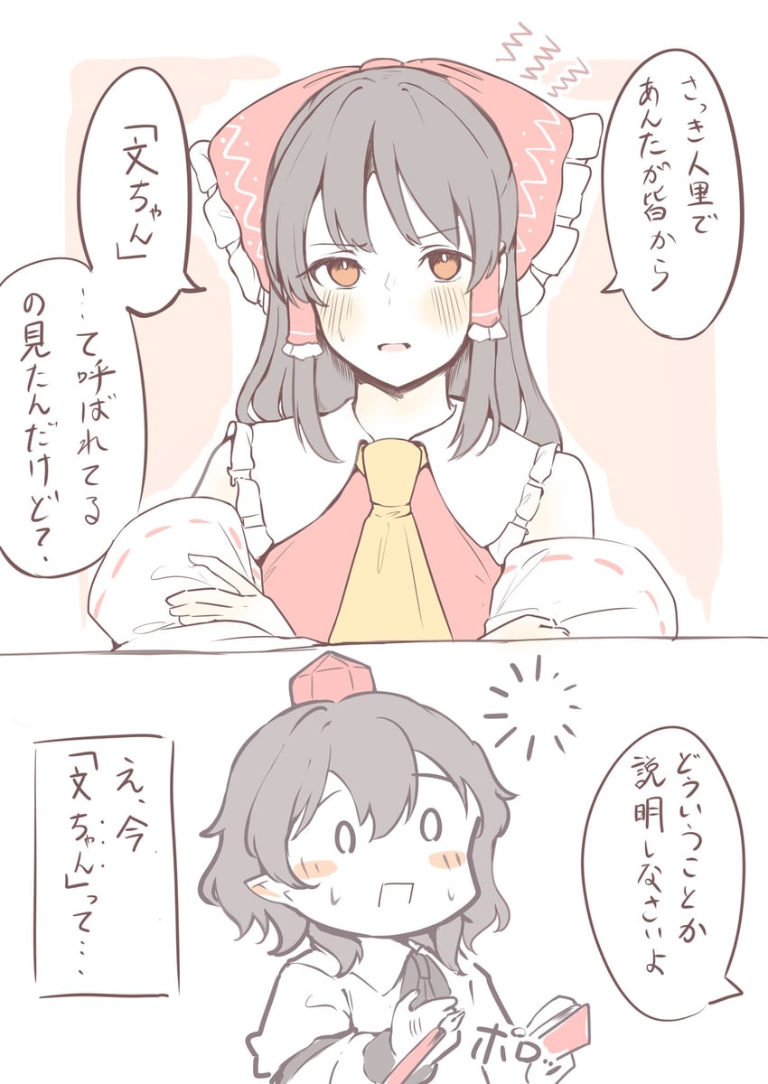 hakurei reimu and shameimaru aya (touhou) drawn by seele_(chanseele0128)