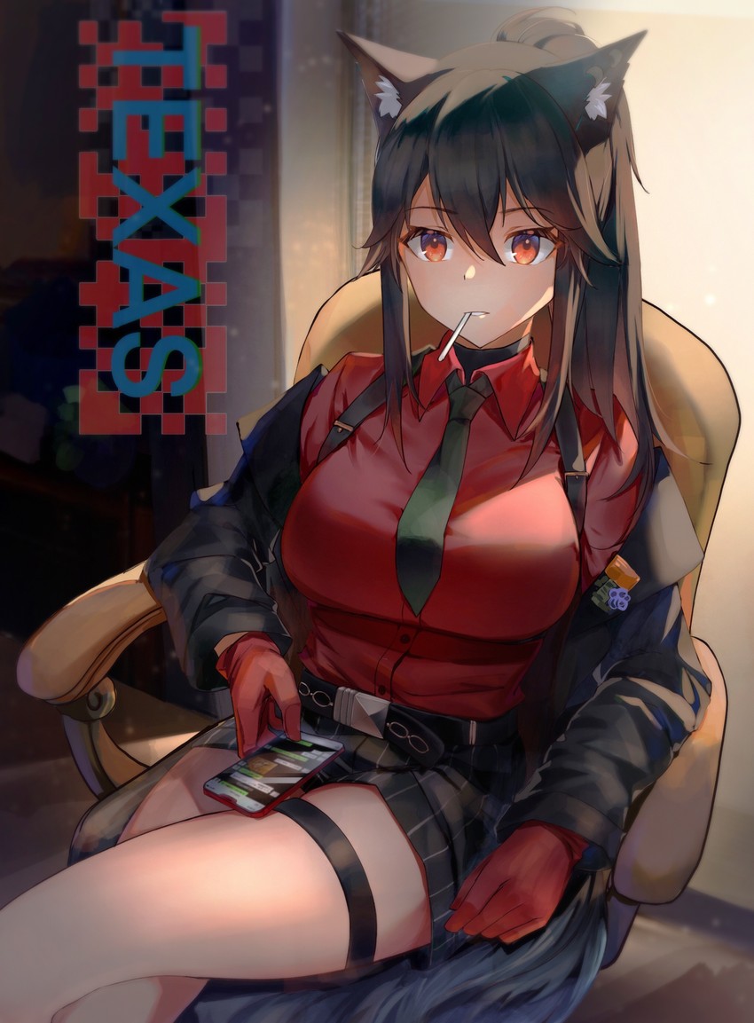 texas (arknights and 1 more) drawn by lims_(neko2lims)