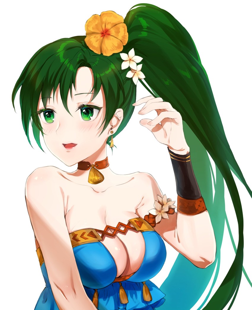 lyn (fire emblem and 2 more) drawn by jurge