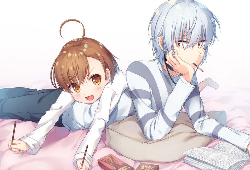 accelerator and last order (toaru majutsu no index) drawn by makatani
