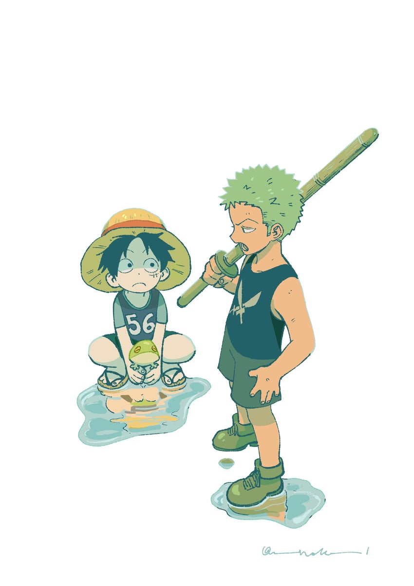 monkey d. luffy and roronoa zoro (one piece) drawn by nok_(nok_1)