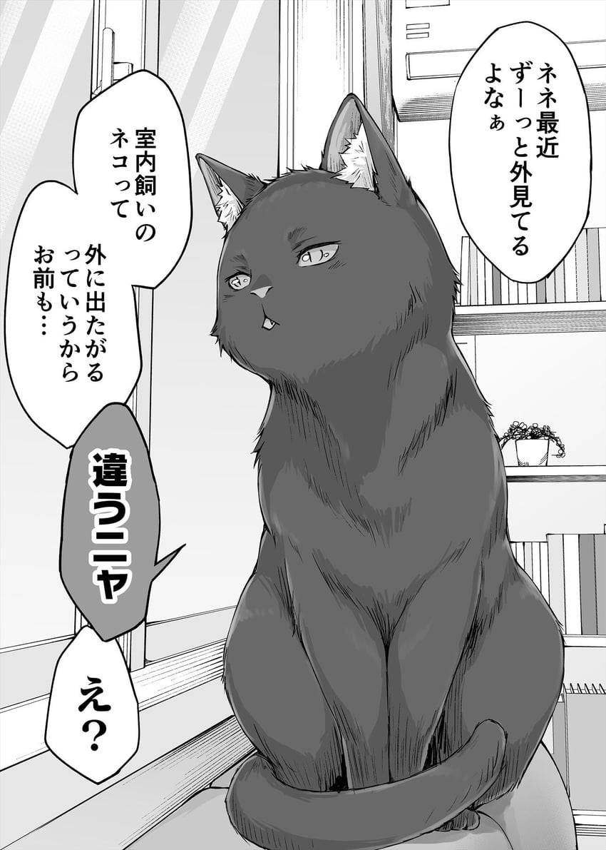 nene (dokusen yoku ga tsuyo sugiru yandere kai neko-chan) drawn by koyuki_(kotatsu358)