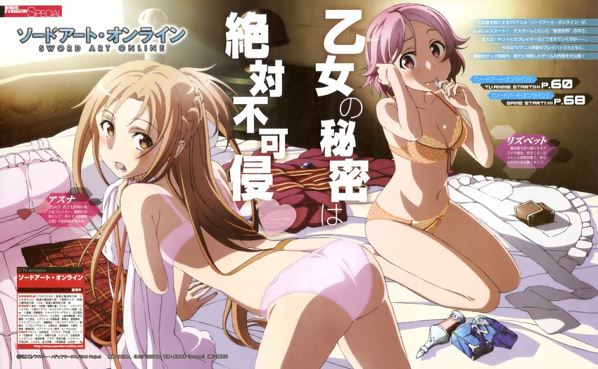 asuna and lisbeth (sword art online and 1 more) drawn by nakamura_naoto