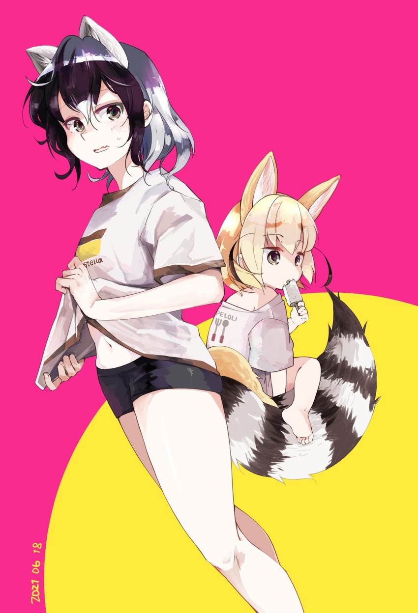 common raccoon and fennec (kemono friends) drawn by nanana_(nanana_iz)