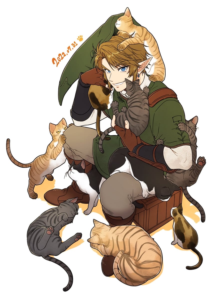 link (the legend of zelda and 1 more) drawn by tnp