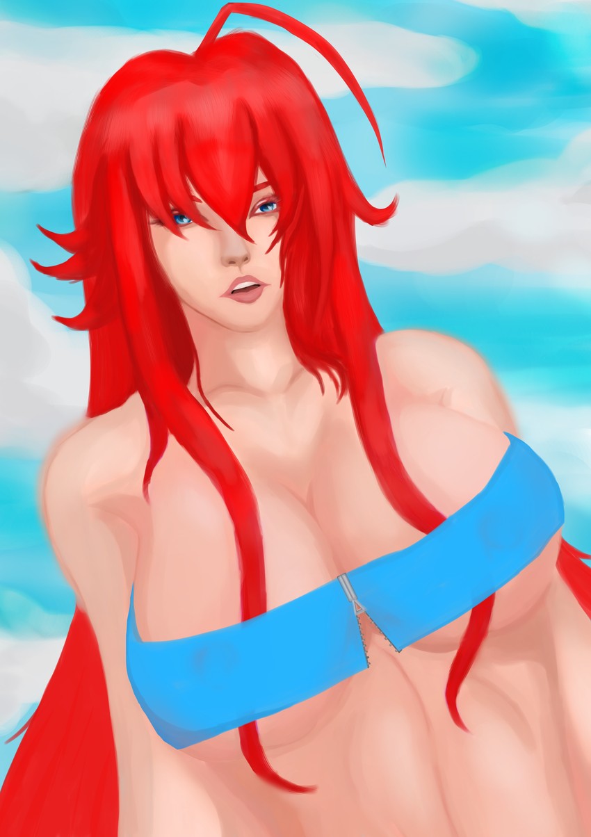 rias gremory (high school dxd)