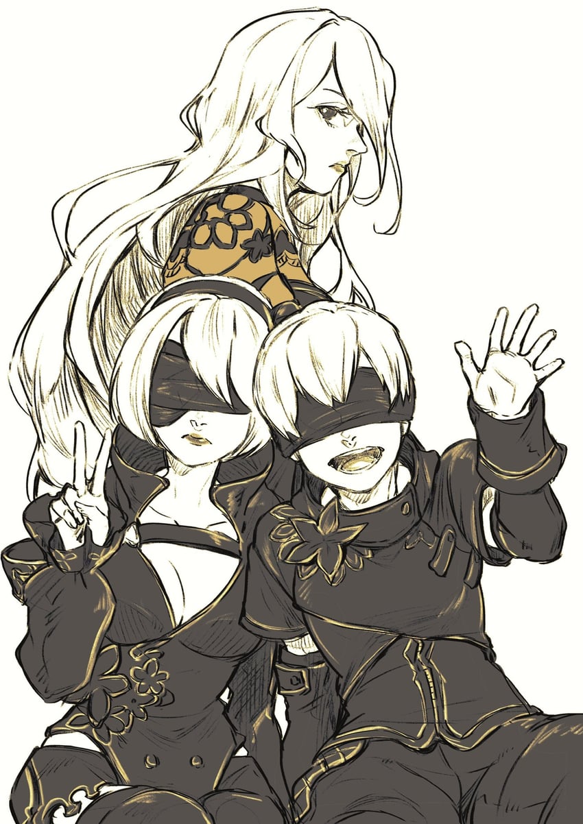 2b, 9s, and a2 (nier and 1 more) drawn by tmympict467