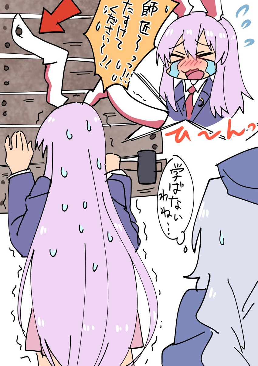 reisen udongein inaba and yagokoro eirin (touhou) drawn by mana_(tsurubeji)